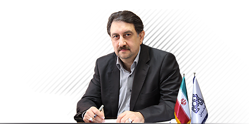 Professor Hossein Salimi